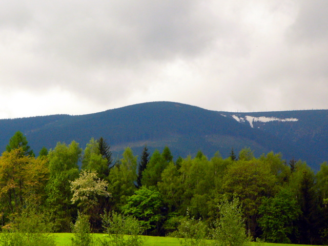 Tetřeví hora 1251 m n.m.